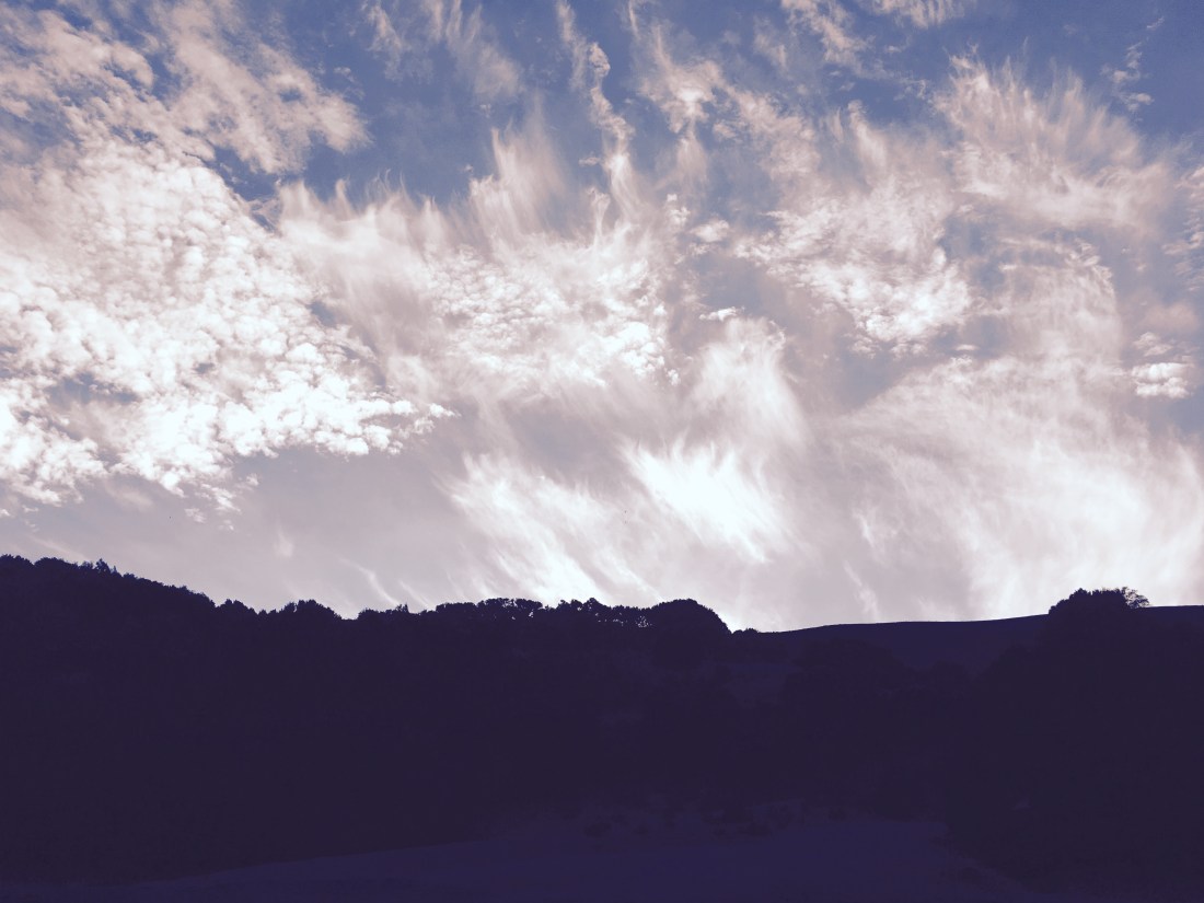 25364952482_608b014193_o